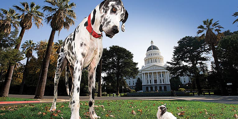 Tips from a Pro: The Right Lens Makes All the Difference Tips from a Pro: The Right Lens Makes All the Difference