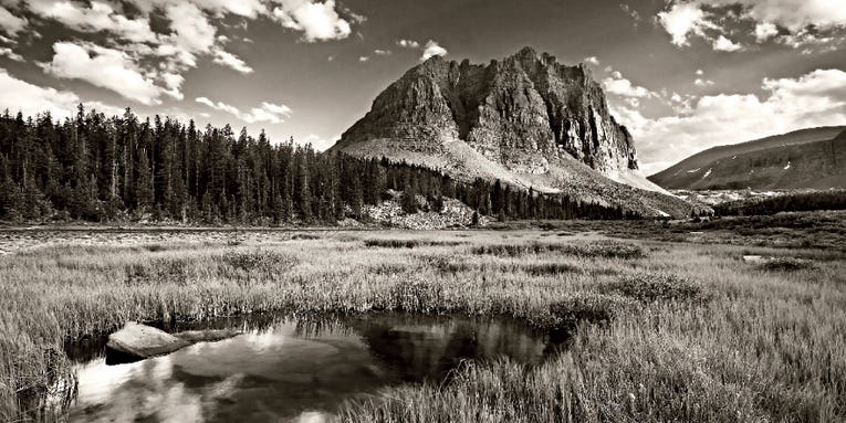 How To: Shooting in Earth Tones How To: Shooting in Earth Tones