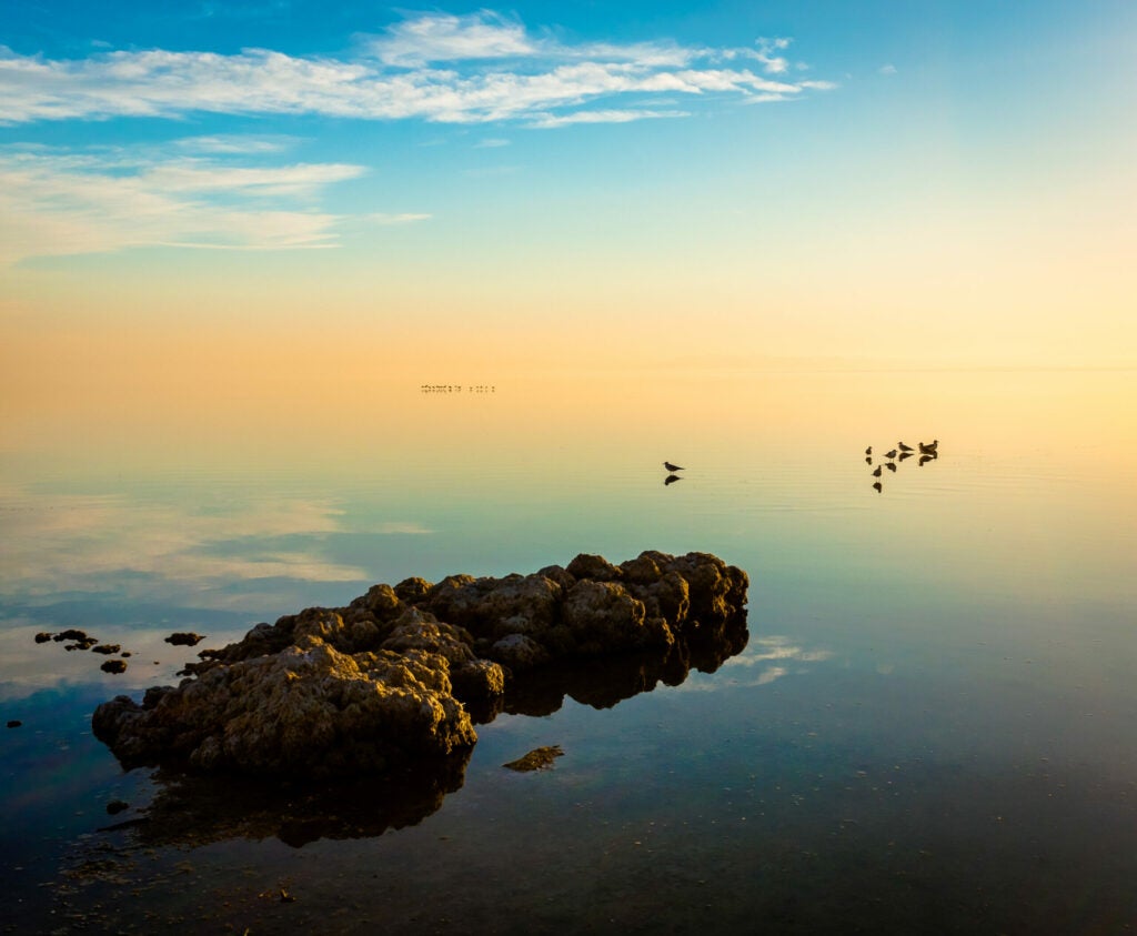 Salton Sea