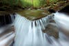 Porterâs Creek, Great Smoky Mountains National Park
