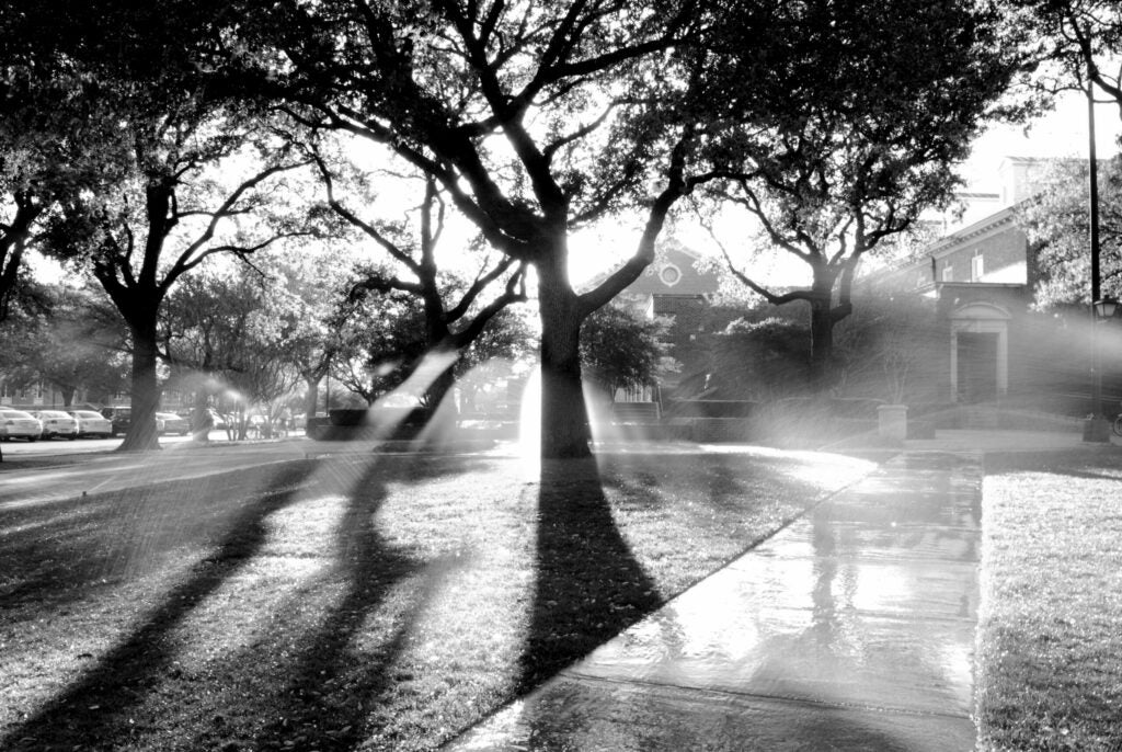 Sprinklers, Southern Methodist University