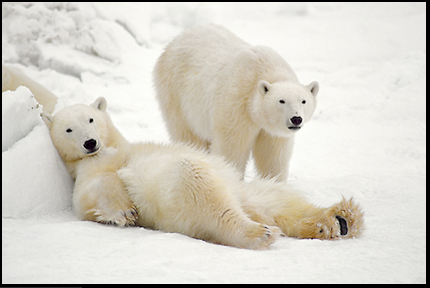 Typepad Import Image