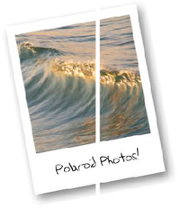 Typepad Import Image