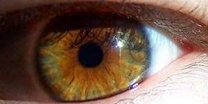 Study of the Human Eye Could Lead to More Accurate Auto Focus Technology