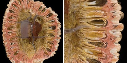 Behind the Lens with Norm Barker Behind the Lens with Norm Barker