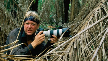 Behind the Lens with Steve Winter