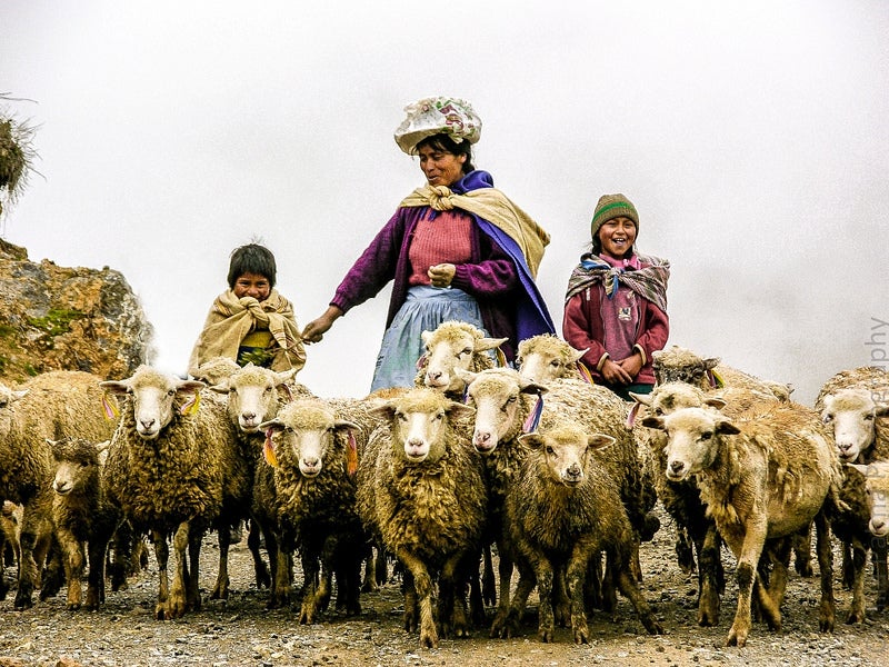 Cecilia Palma captured this terrific moment in the highlands of Peru. See more of her work <a href="http://www.flickr.com/photos/ceciliapalma/">here</a>. Think you have what it takes to be featured as Photo of the Day? Submit your best work to our <a href="http://flickr.com/groups/1614596@N25/pool/">Flickr group</a>.