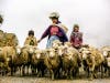 Cecilia Palma captured this terrific moment in the highlands of Peru. See more of her work <a href="http://www.flickr.com/photos/ceciliapalma/">here</a>. Think you have what it takes to be featured as Photo of the Day? Submit your best work to our <a href="http://flickr.com/groups/1614596@N25/pool/">Flickr group</a>.