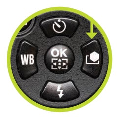Typepad Import Image