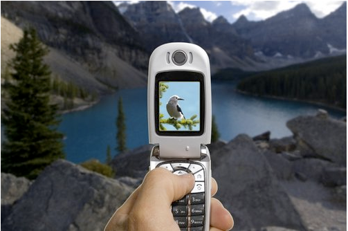 Typepad Import Image