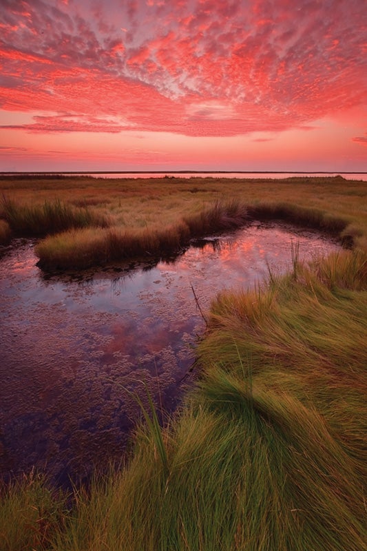 Chesapeake Bay, MD