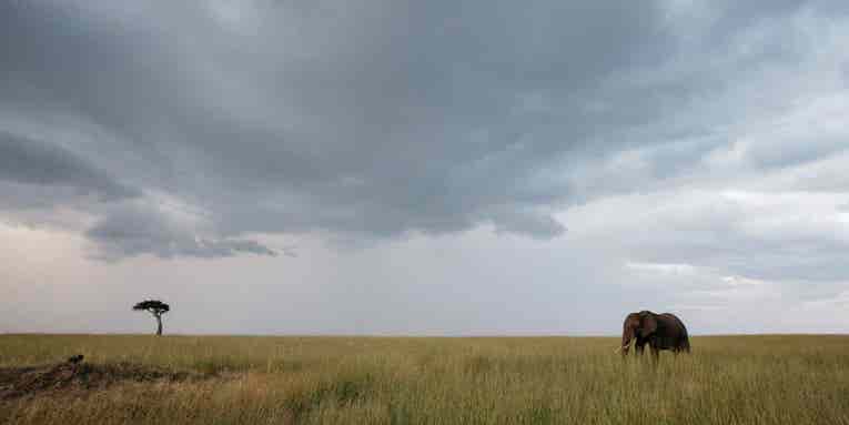 Beyond the snapshots:  How to tell a story with your travel photography