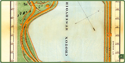 Typepad Import Image