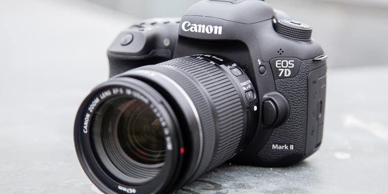 Hands-On: Canon 7D Mark II DSLR and 400mm F/4 DO IS Lens