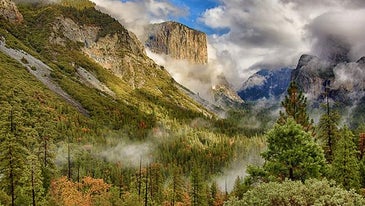 Mentor Series: Yosemite National Park