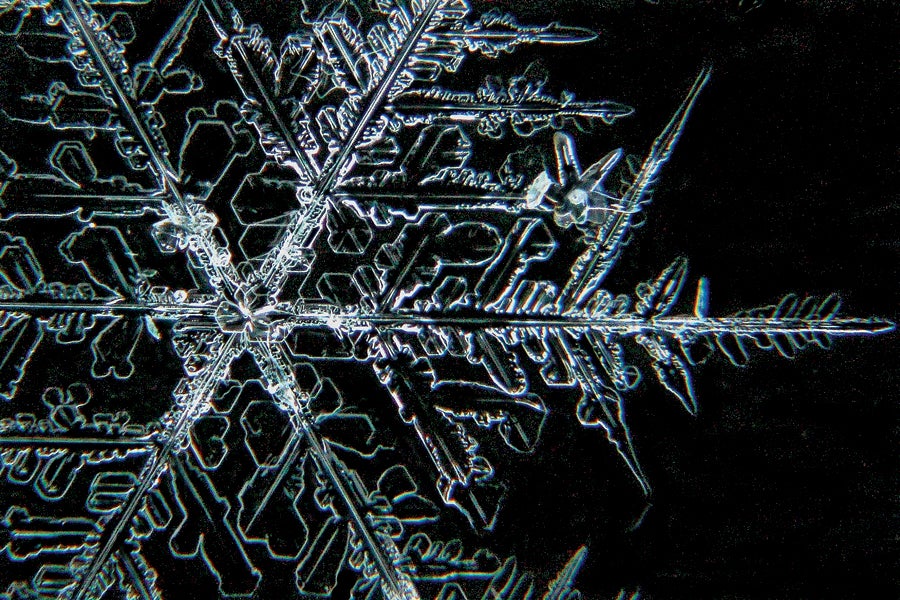 Snowflake close-up