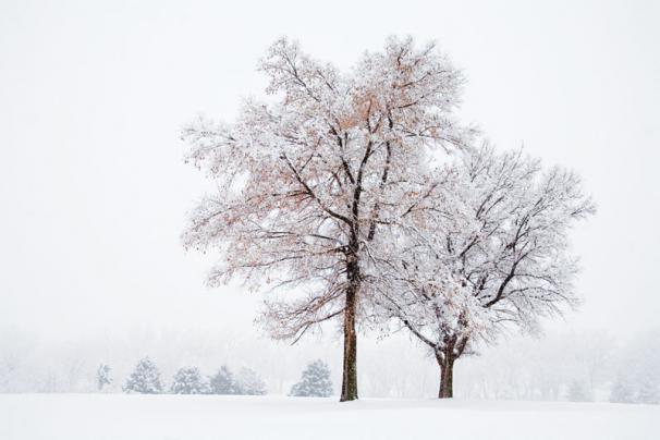 Bob Hills shot today's Photo of the Day for his story on How To: Make Great Pictures in Winter Weather. You can see the rest of his winter photos HERE.