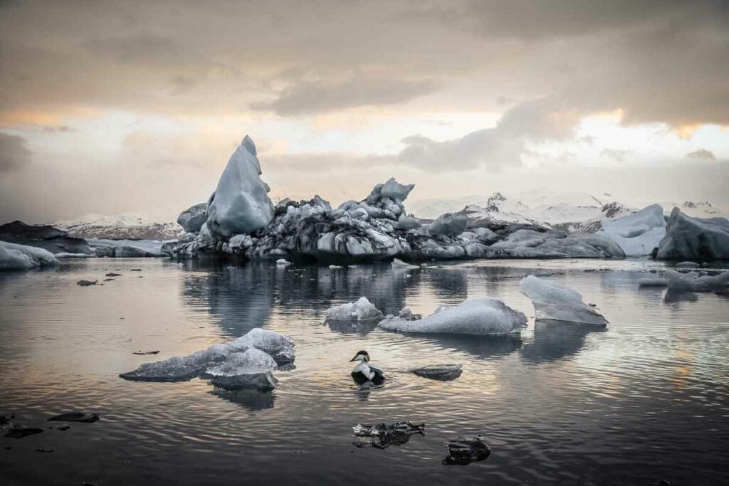 Sunset on the Jokulsarlon glacial lagoon In Iceland