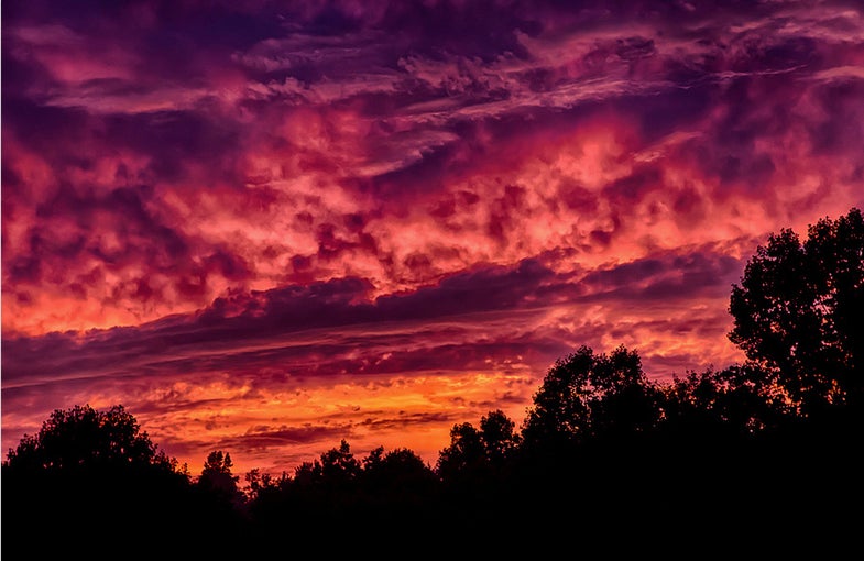 When and where was the photo taken? **Greensburg PA, right before sundown. **What camera and lens were used? Canon 5D Mark II w/ Canon EF 70-200mm f/2.8L IS II lensTech specs: ISO 640, 1/125sec, f/6.3Processing:Shot in RAW format with slight editing!Description:Sky looks like it's on fire...See more of Donald's work here. Want to see your photo picked as our Photo of the Day? Sumbit it HERE.