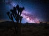 Joshua Tree National Park