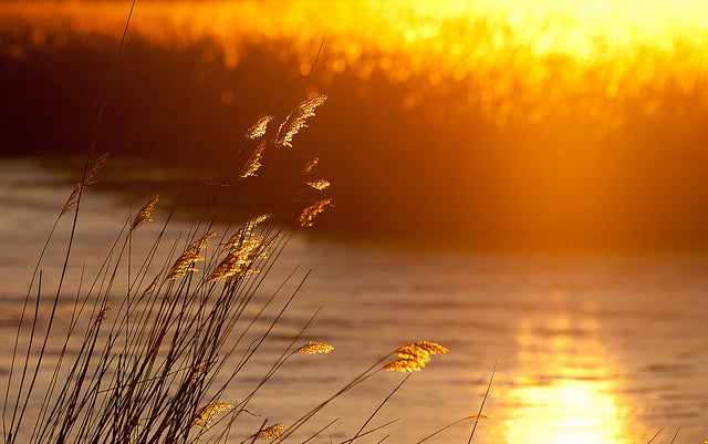 Today's Photo of the Day was taken by Richard Mikkelsen at sunset in Denmark using a Sony A900 with a 70-400mm F4.0-5.6 G SSM lens at 1/1000, f/7.1 and ISO 400. See more of Richard's work <a href="http://www.flickr.com/photos/68pantoja/">here.</a>