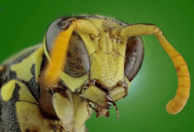 Your Best Shot Gallery August 2013