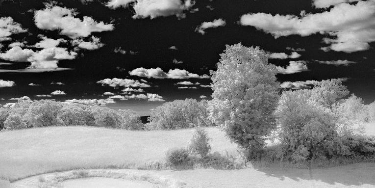 Software Workshop: Fake Infrared Photography Using Adobe Camera Raw