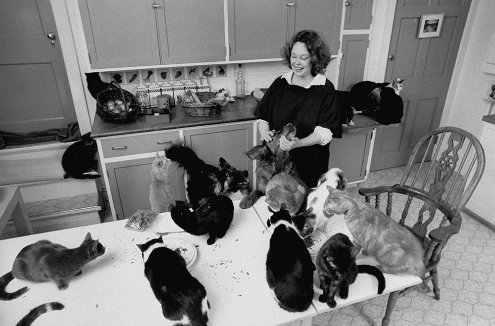 Sandy Dennis with cats in the kitchen