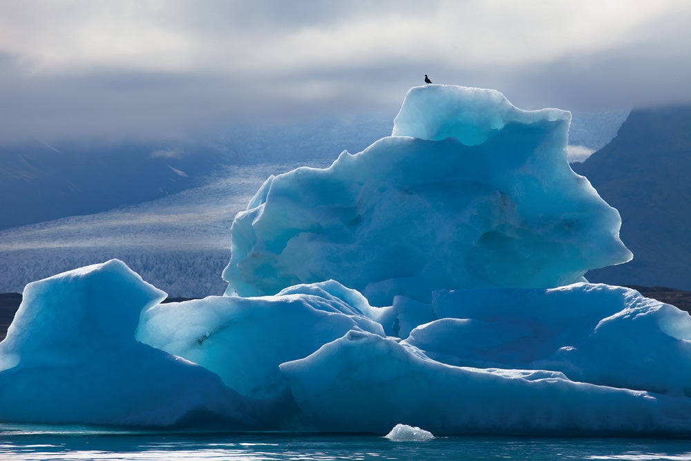 Iceberg, JÃ¶kulsÃ¡rlÃ³n