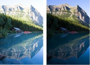 Typepad Import Image