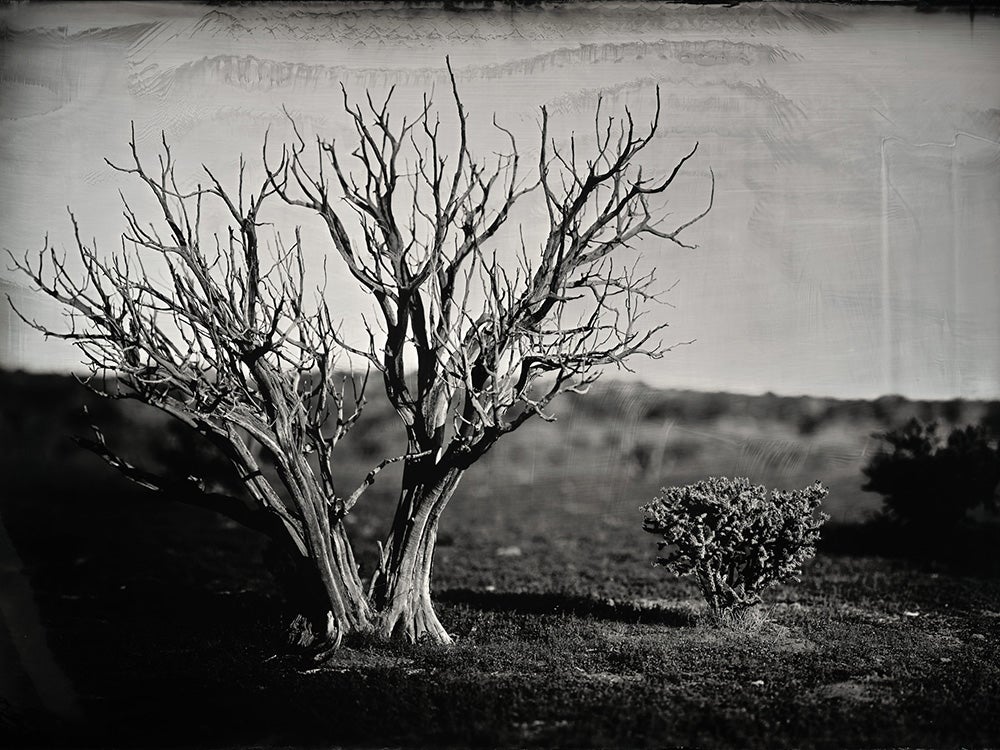 collectors ranch outside of Santa Fe New Mexico