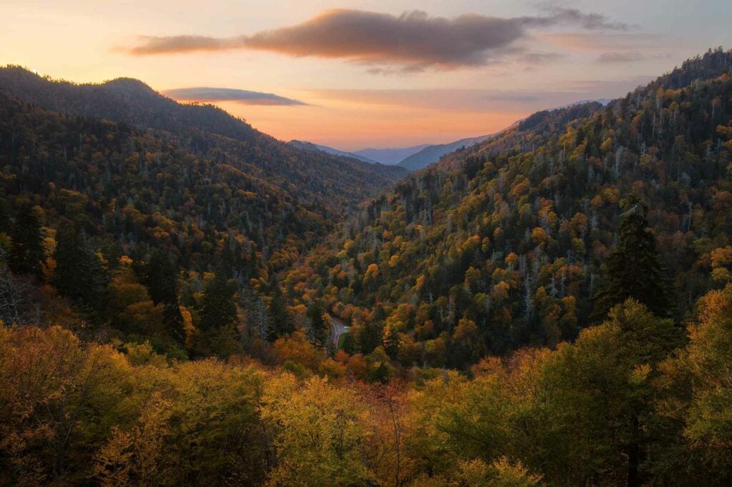 Muted sunset color spills over the Great Smoky Mountains, while early fall colors erupt on the high elevation slopes.