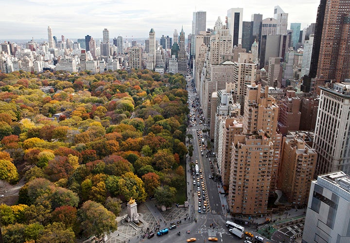 Central Park, New York City