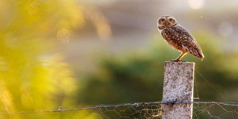 Your Best Shot Gallery: September 2016