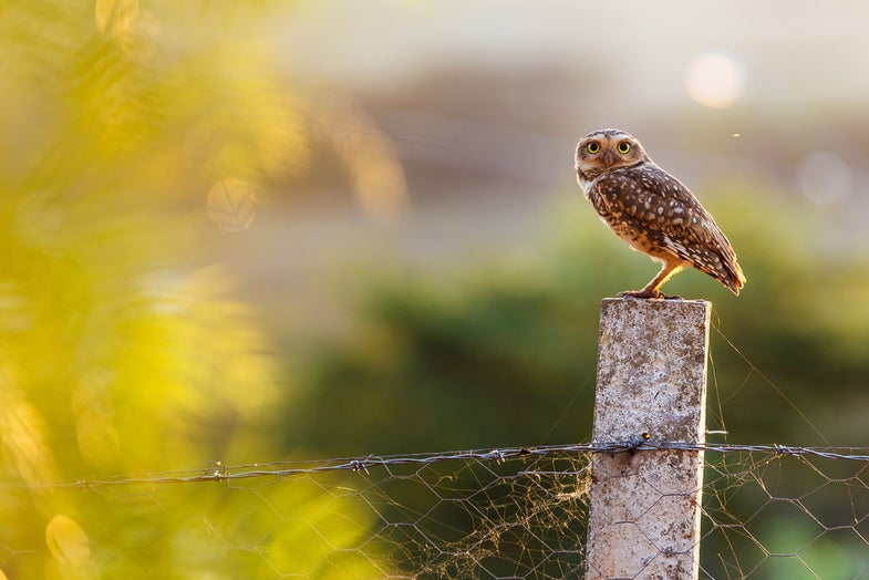 Your Best Shot Gallery September 2016