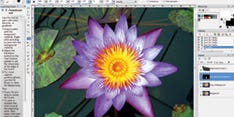 Software Review: Corel Paintshop Photo Pro X3
