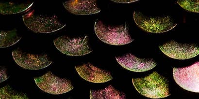 The $95 Prop Stop The $95 Prop Stop