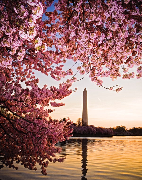 april12travel.jpg