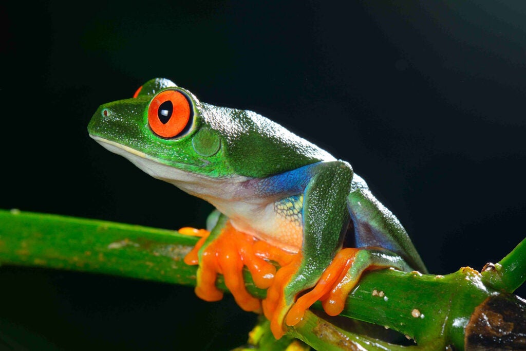 Today's Photo of the Day was captured by José Gabriel Martínez Fonseca using a Nikon D7100
with a 85mm f/3.5. The image was shot at 1/200 sec, f/16 and ISO 200. See more work <a href="https://www.flickr.com/photos/svaldvard/">here. </a>