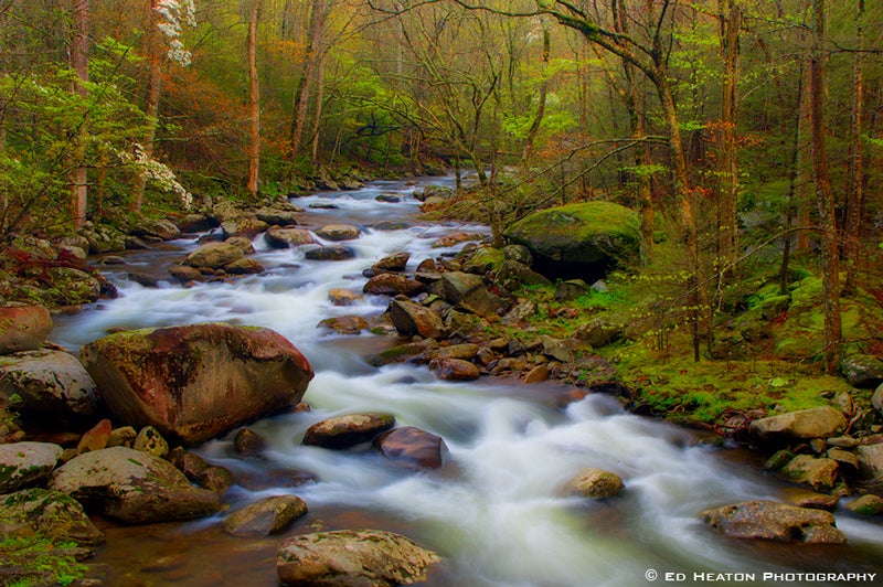 Little River in the Great Smoky Mountains National Park.jpg