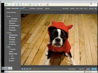 Typepad Import Image