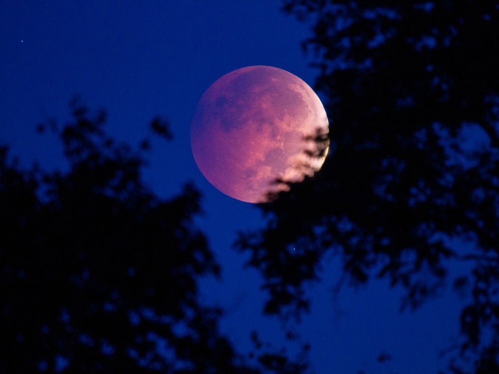 Blood moon photo in New York