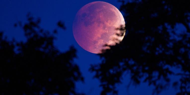 How to take a picture of the moon that doesn’t look like a tiny, white blob