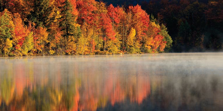 How To Take Great Fall Photographs