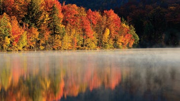 How To Take Great Fall Photographs