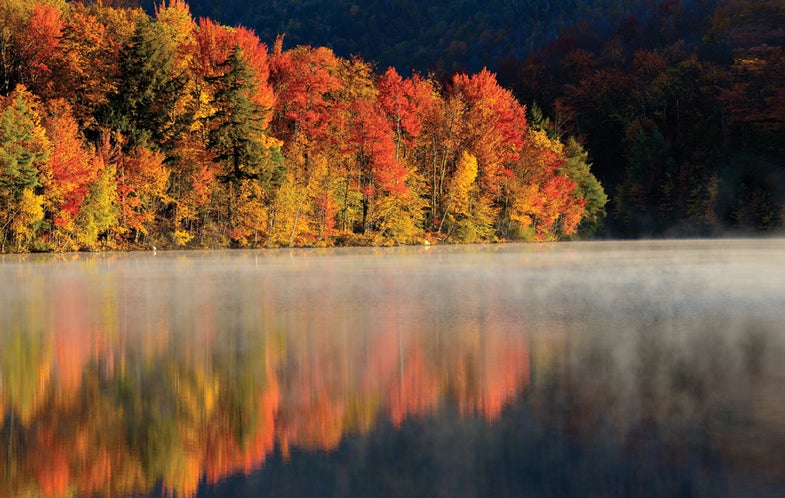 How-To-Take-Great-Fall-Photographs