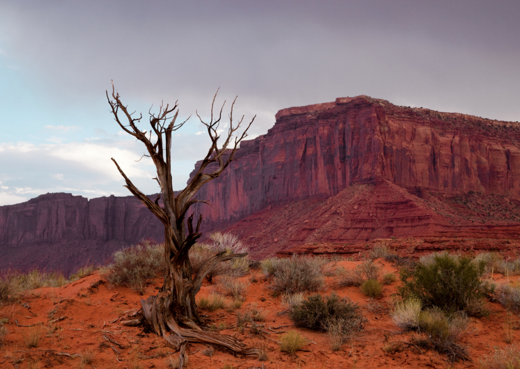 Today's Photo of the Day comes Marios Savva and was taken in Monument Valley with a Canon EOS 5D Mark II with a EF24-105mm f/4L IS USM lens at 1/100 sec, f/7.1 and ISO 250. See more work <a href="https://www.flickr.com/photos/emvionline/">here.</a>