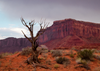 Today's Photo of the Day comes Marios Savva and was taken in Monument Valley with a Canon EOS 5D Mark II with a EF24-105mm f/4L IS USM lens at 1/100 sec, f/7.1 and ISO 250. See more work <a href="https://www.flickr.com/photos/emvionline/">here.</a>