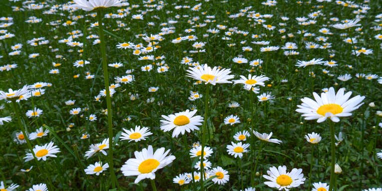 Sample Image Gallery: Panasonic Lumix G3 Sample Image Gallery: Panasonic Lumix G3