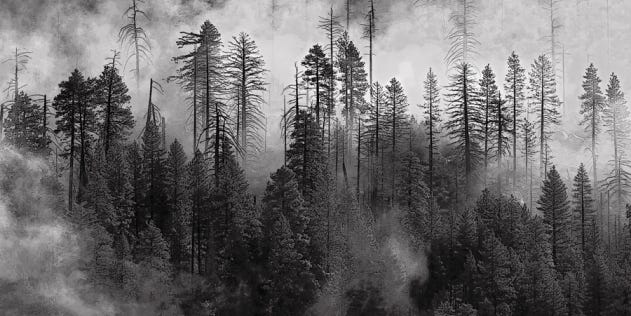 Reader Gallery: 44 Powerful Black-And-White Landscapes Reader Gallery: 44 Powerful Black-And-White Landscapes